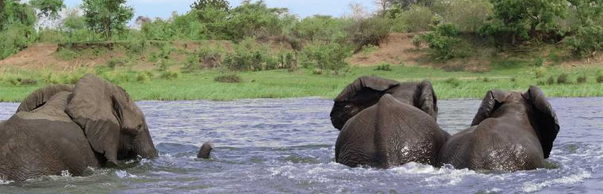 Zimbabwe - Kayak Safari
